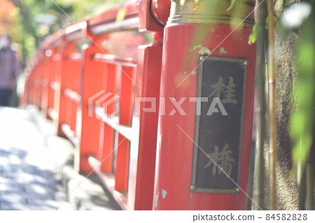 [Shuzenji] Izu City, Shizuoka Prefecture (December) 14 84582828