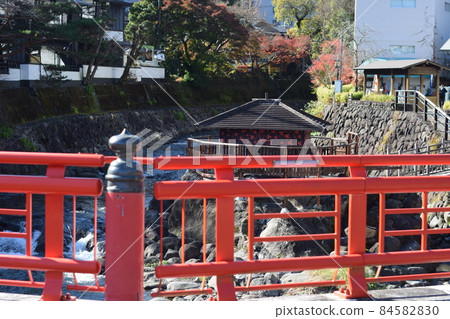 【修善寺】靜岡縣伊豆市(12月)12日 【修善寺】靜岡縣伊豆市(12月)12日 84582830
