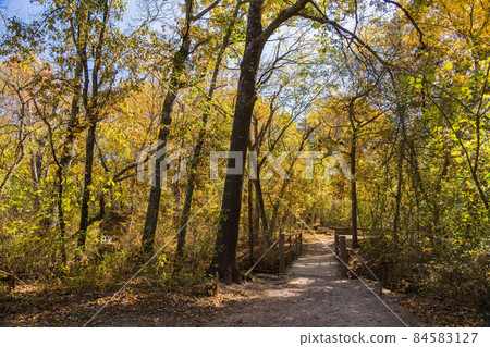 Fall color of the nature trail in Chickasaw National Recreation Area Fall color of the nature trail in Chickasaw National Recreation Area 84583127