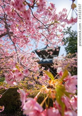 Kaiyōji Kaiyōji 84583507