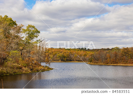 Fall color of the Osage Hills State Park Fall color of the Osage Hills State Park 84583551