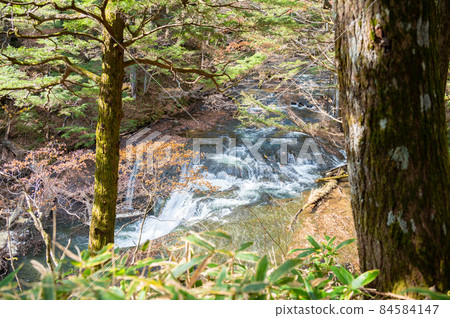 流淌在戰場原徒步路線上的湯川小瀧 84584147