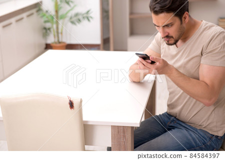 Young man and a lot of cockroaches at home Young man and a lot of cockroaches at home 84584397