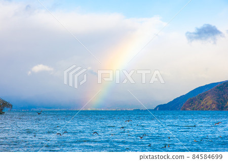 Rainbow Lake Biwa Natural Birds 84584699
