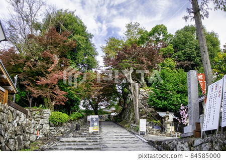 愛知縣犬山城、主要道路、國寶、現存天守閣12座 愛知縣犬山城、主要道路、國寶、現存天守閣12座 84585000