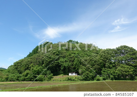 矢津城 (2021) 84585107