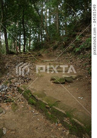 Tottori Four Seasons Walk Winter Inuyama Shrine 84585349