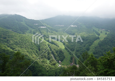 Shiga Kogen Ropeway (2021) Shiga Kogen Ropeway (2021) 84585753