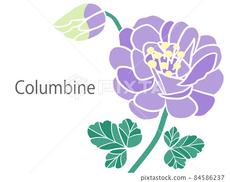 Western flower columbine Western flower columbine 84586237