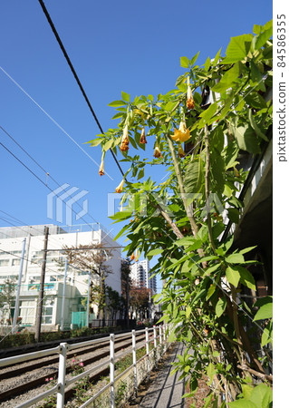 Scenery along the Toden Arakawa Line in Arakawa-ku, Tokyo 84586355