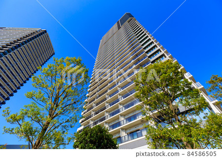 City Towers Tokyo Bay, Ariake Cityscape, Koto-ku, Tokyo City Towers Tokyo Bay, Ariake Cityscape, Koto-ku, Tokyo 84586505