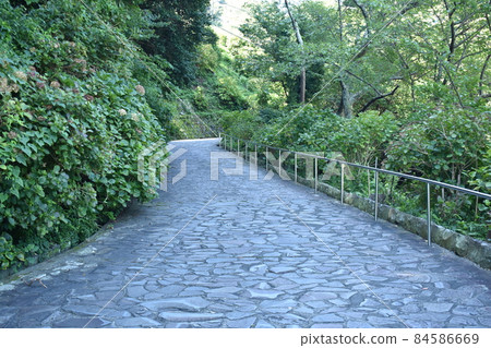 石路 石路 84586669