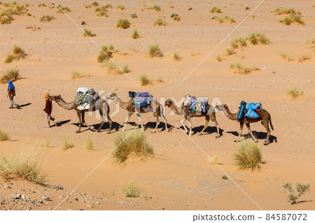 Camel caravan in the desert 84587072