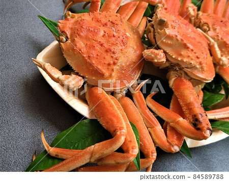 Snow crab boiled barrel crab marine resources depletion sustainable sdgs Snow crab boiled barrel crab marine resources depletion sustainable sdgs 84589788