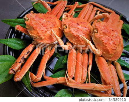 Snow crab boiled barrel crab marine resources depletion sustainable sdgs Snow crab boiled barrel crab marine resources depletion sustainable sdgs 84589910