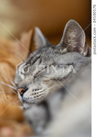 睡個好覺 睡個好覺 84590576