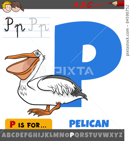 letter P from alphabet with cartoon pelican bird 84590752