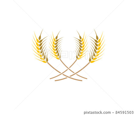 Wheat vector icon 84591503