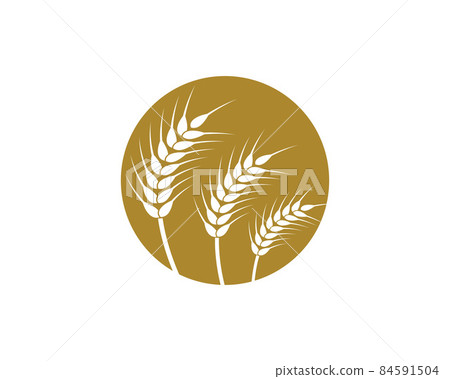 Wheat vector icon Wheat vector icon 84591504