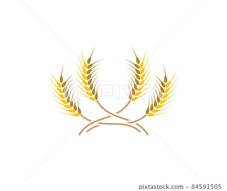 Wheat vector icon Wheat vector icon 84591505