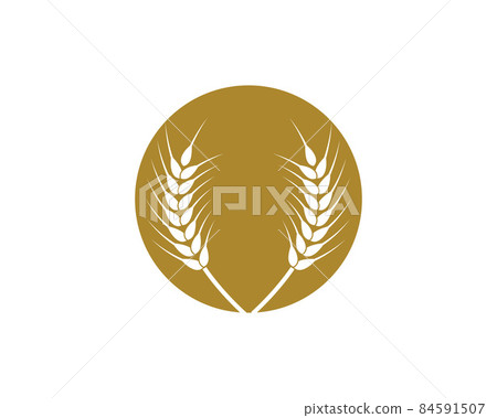 Wheat vector icon 84591507