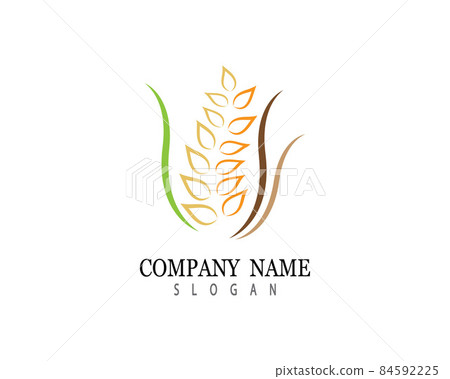 Wheat vector icon 84592225