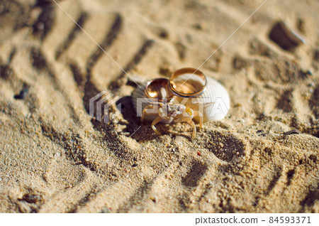 Small crab and engagement rings on the beach. Small crab and engagement rings on the beach. 84593371