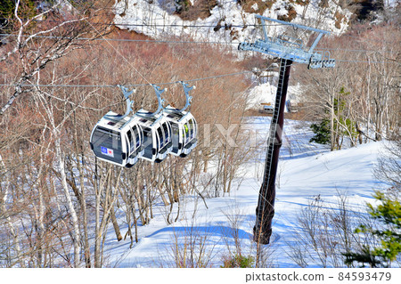 Shiga Kogen Resort Gondola (Yamanouchi Town, Nagano Prefecture) [2021.3] 84593479