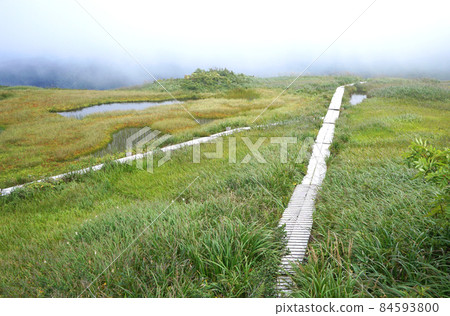 一條穿過托拉奇山頂高沼地的木棧道 一條穿過托拉奇山頂高沼地的木棧道 84593800