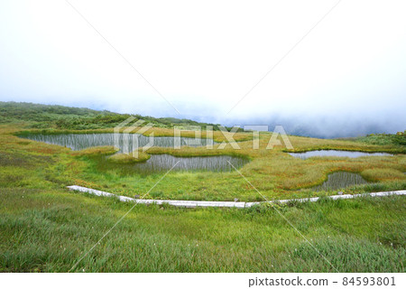 A wooden path that crosses the high moor at the top of Mt. Torage 84593801