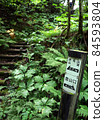 夏季托拉日山的登山口 84593804