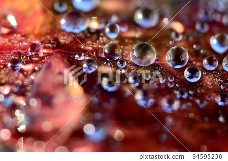水滴 泡泡 起泡 84595230