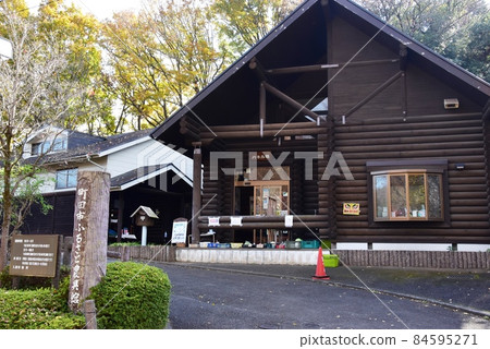 Machida City Yakushiike Park Color Forest Furusato Agricultural Equipment Museum and Yellow Leaves Machida City Yakushiike Park Color Forest Furusato Agricultural Equipment Museum and Yellow Leaves 84595271