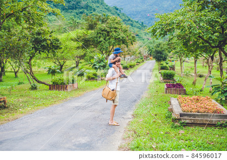 rear view of father and son walking on a scenic road rear view of father and son walking on a scenic road 84596017