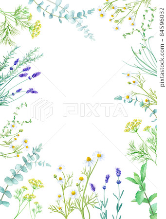 草藥(洋甘菊、薄荷、薰衣草、桉樹)的水彩插圖。草本框架裝飾。垂直的。 草藥(洋甘菊、薄荷、薰衣草、桉樹)的水彩插圖。草本框架裝飾。垂直的。 84596032