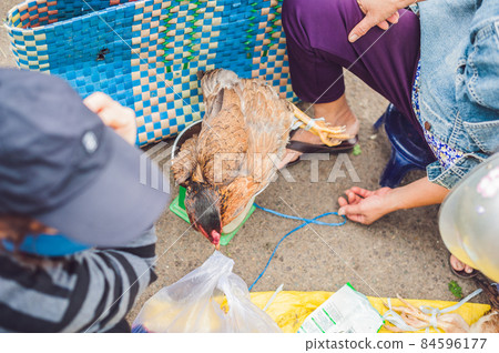 Chicken sold in the Vietnamese market. Asian food concept Chicken sold in the Vietnamese market. Asian food concept 84596177