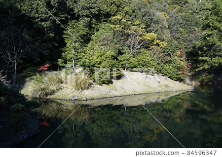 小島 小島 84596347