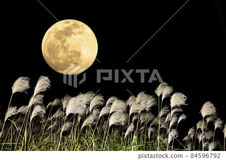 [秋季圖片]中秋節和鈴木 84596792