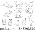 Cat illustration set 84596830
