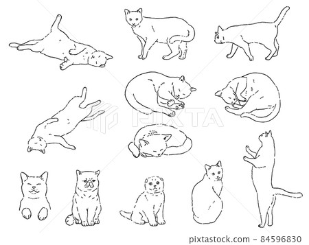 貓圖集 84596830