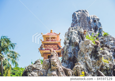 Macaque monkey jumping on rocks. Monkey Island, Vietnam Macaque monkey jumping on rocks. Monkey Island, Vietnam 84597129