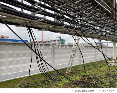 Power cables and instrument cables in the trays .Electric cables lying in metal cable trays.Cable tray and Cable ladder on Pipe Rack 84597297