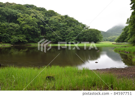 Onuma-Enchi, Summer, Shiobara, Tochigi Prefecture 84597751