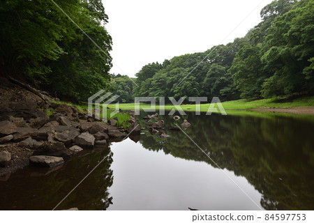 櫪木縣鹽原市夏季大沼遠地 84597753