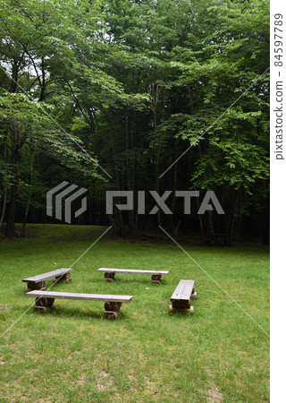 櫪木縣鹽原市夏季大沼遠地 84597789