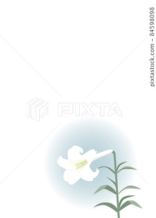 Illustration material mourning postcard lily Illustration material mourning postcard lily 84598098