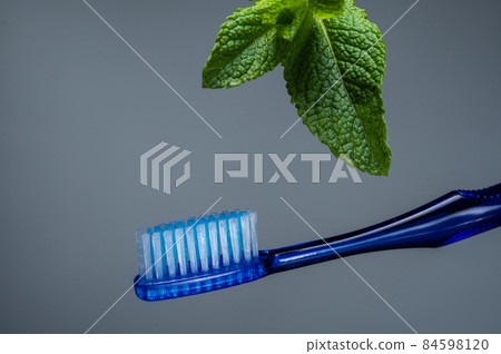 Toothbrush and mint leaf. Toothbrush without paste. Isolate on a gray background. 84598120