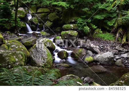 Happogahara, trekking, Takahara, sheet pile, Tochigi prefecture Happogahara, trekking, Takahara, sheet pile, Tochigi prefecture 84598325