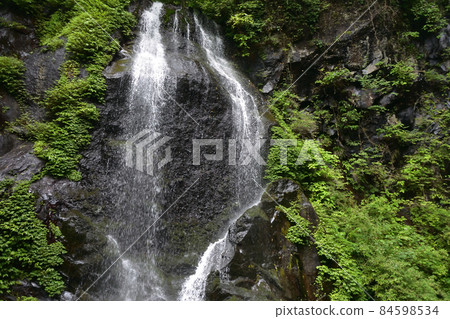 Urami Waterfall, Promenade, Nikko, Tochigi Prefecture Urami Waterfall, Promenade, Nikko, Tochigi Prefecture 84598534