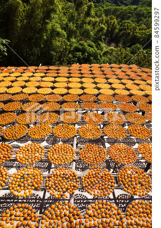 Process of Making Dried Persimmon during Windy Autumn in Hsinpu (With Chinese Name of the Factory"Wei Wei Gia") , Hsinchu, Taiwan. 84599297